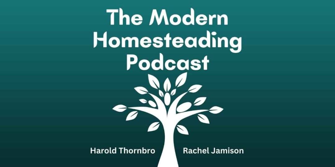 15 Best Permaculture Homesteading Documentaries The Small Town Homestead