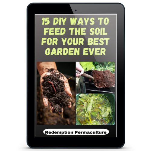 15 DIY Ways To Feed The Soil For Your Best Garden Ever cover