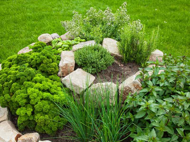 Herb Spirals: Maximizing Planting Space Efficiently