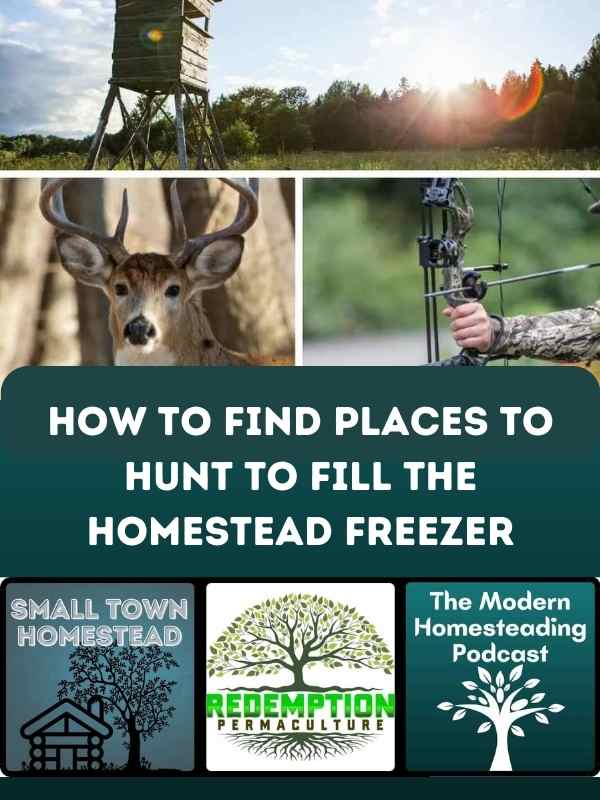 How To Find Places To Hunt To Fill The Homestead Freezer