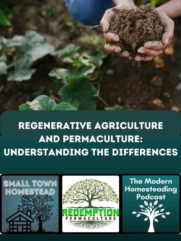 Regenerative Agriculture and Permaculture: Understanding the Differences