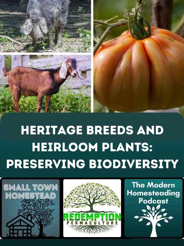 Heritage Breeds and Heirloom Plants: Preserving Biodiversity