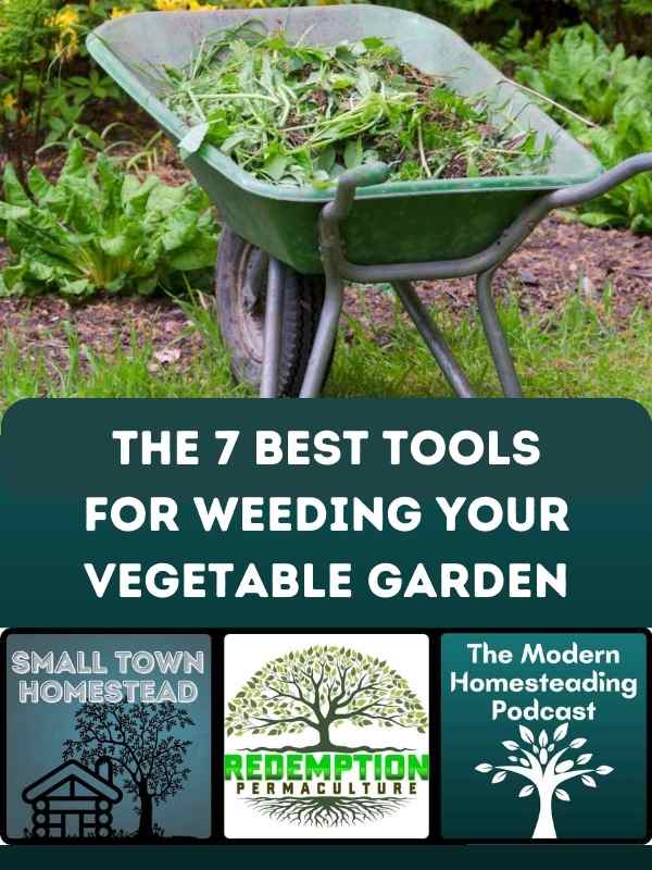 The 7 Best Tools for Weeding Your Vegetable Garden