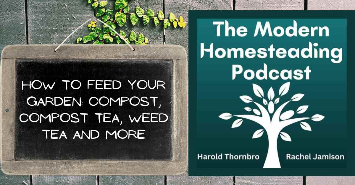 How To Feed Your Garden: Compost, Compost Tea, Weed Tea and More