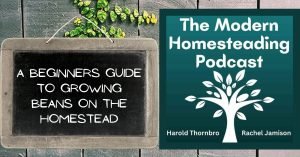 Read more about the article A Beginners Guide To Growing Beans On The Homestead