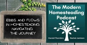 Read more about the article Ebbs and Flows In Homesteading: Navigating the Journey