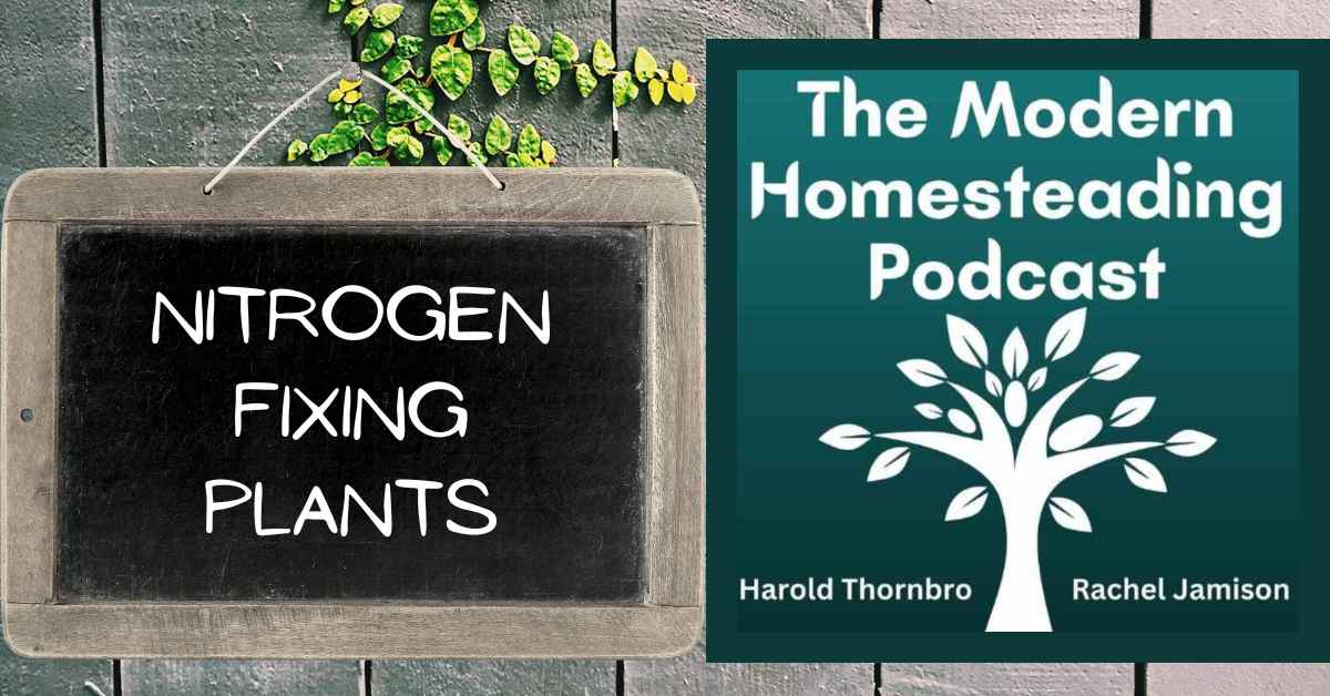 Nitrogen Fixing Plants For The Homestead