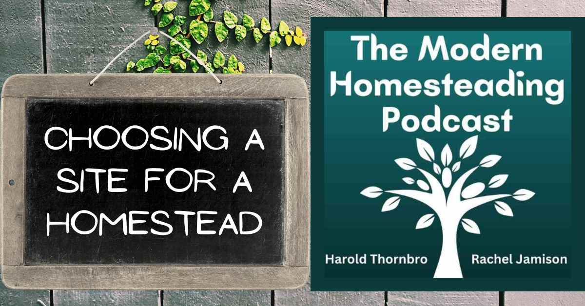 Read more about the article Choosing A Site For A Homestead