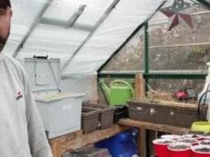 Read more about the article Setting Up The Greenhouse For Winter