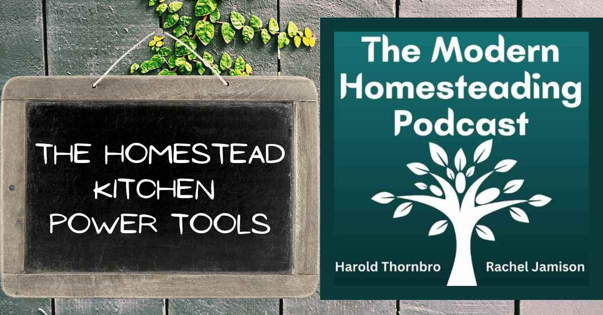 Read more about the article The Homestead Kitchen Power Tools