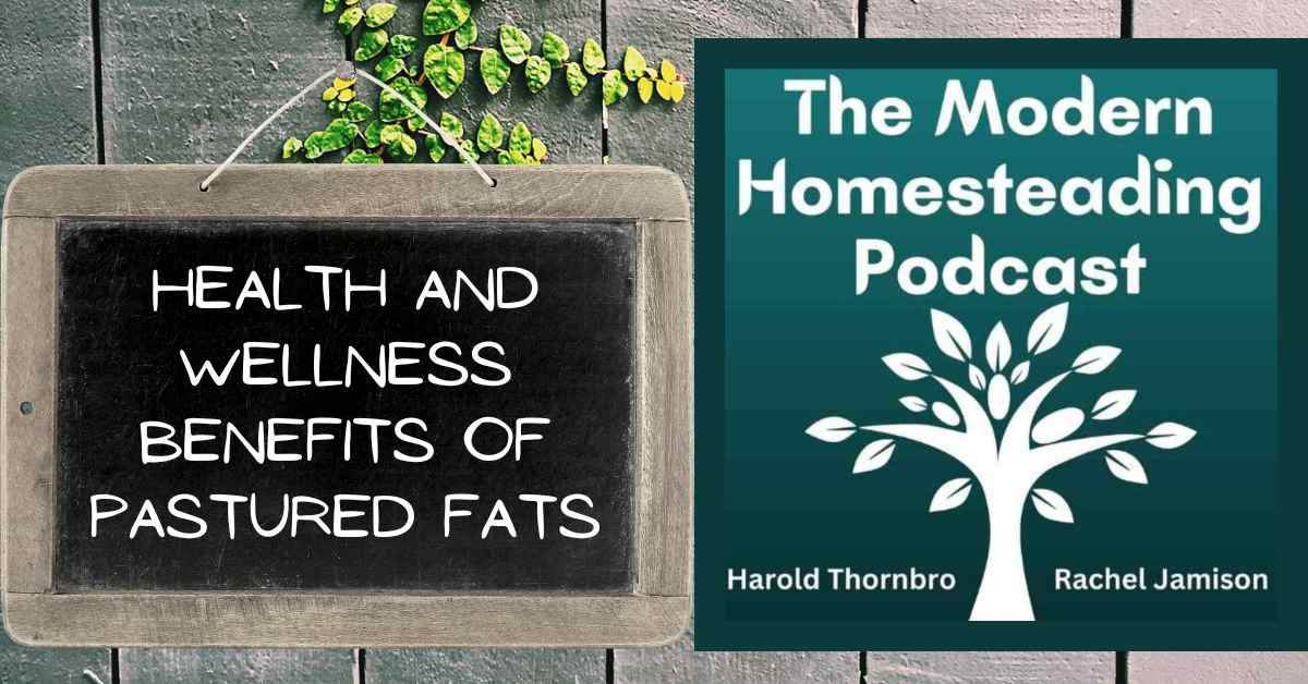 Read more about the article Health And Wellness Benefits Of Pastured Fats