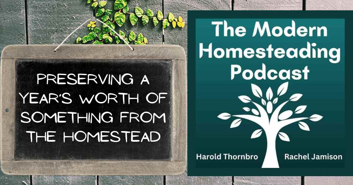 Read more about the article Preserving a Year’s Worth of SOMETHING from the Homestead