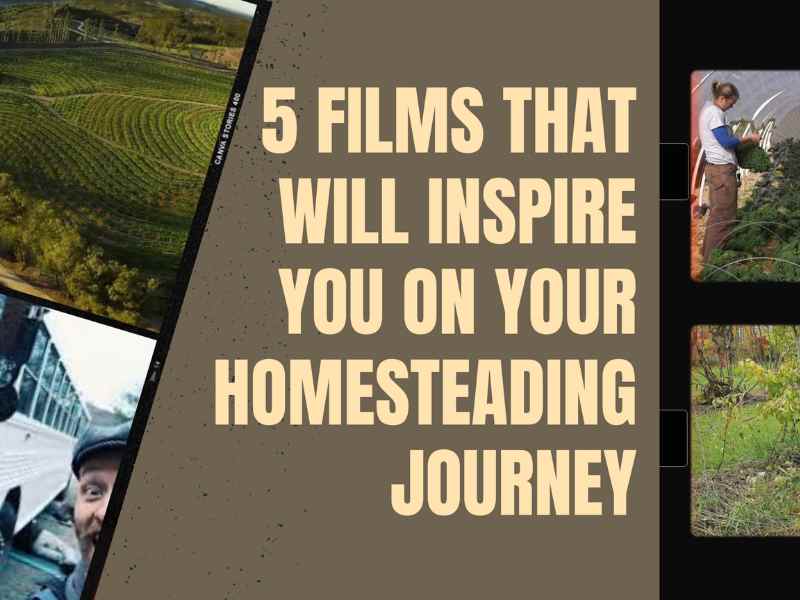 Read more about the article 5 Films To Inspire You On Your Homesteading Journey