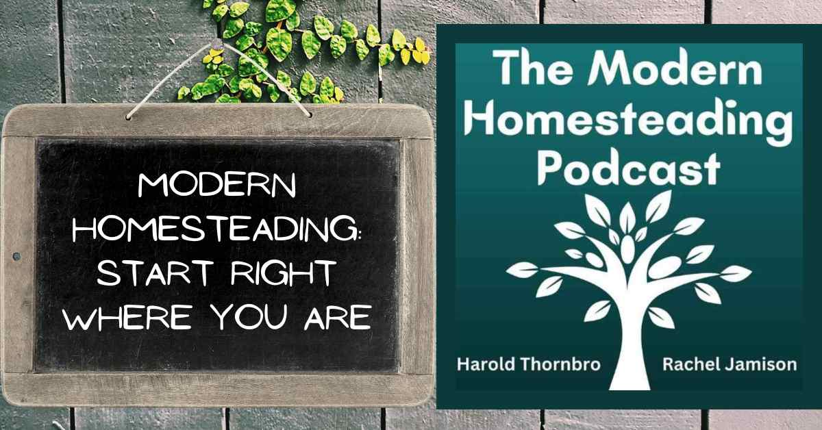 Read more about the article Modern Homesteading: Start Right Where You Are