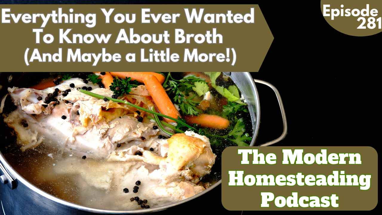 Read more about the article Everything You Ever Wanted to Know About Broth (And Maybe a Little More!)