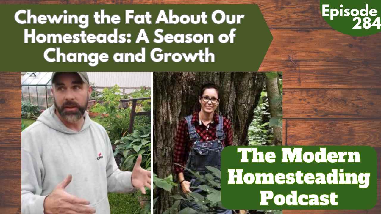 Read more about the article Chewing the Fat About Our Homesteads: A Season of Change and Growth