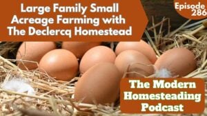 Read more about the article Large Family Small Acreage Farming with The Declercq Homestead