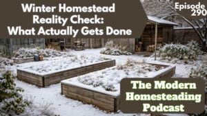 Read more about the article Winter Homestead Reality Check: What Actually Gets Done